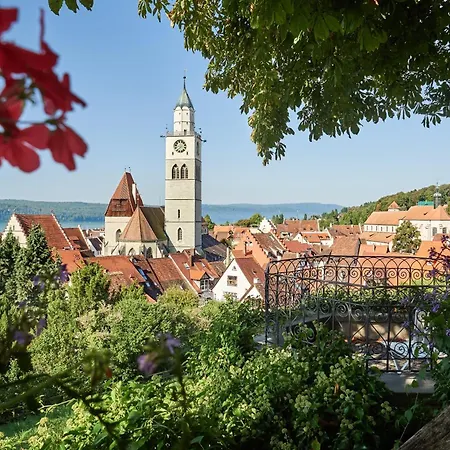 Schilfgras Uberlingen